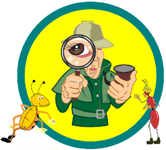 Best Pest Solutions Llc's Logo